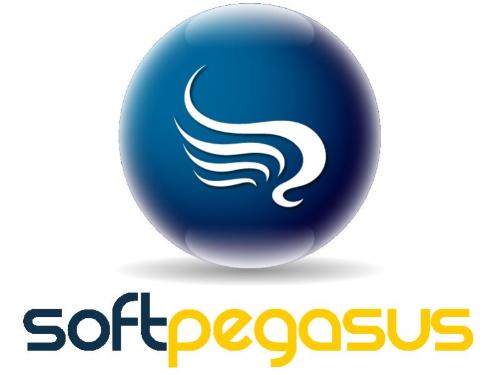 Soft Pegasus - ERP