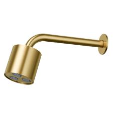 Chuveiro de Parede DocolRain Mix & Match Ouro Escovado