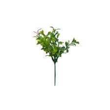 Pick peperomia em plstico Brilliance 20cm verde
