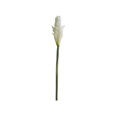 Haste em plstico Brilliance Alpinia 90cm branca