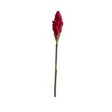 Haste em plstico Brilliance Alpinia 90cm vermelha