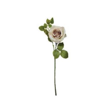 Haste de rosa Brilliance 70cm salmo