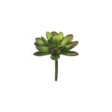 Suculenta encheveria em plstico Brilliance 9,5cm verde