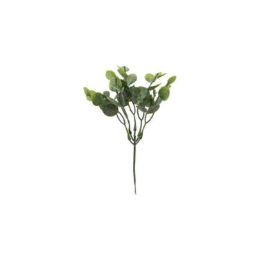 Pick eucalipto em plstico Brilliance Unha de gato 24cm verde
