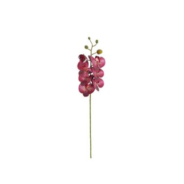 Haste de Orqudea Phalaenopsis em plstico Brilliance 85cm XF001-14