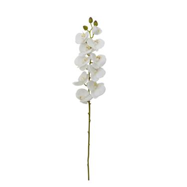 Haste de Orqudea Phalaenopsis Brilliance 77cm branca