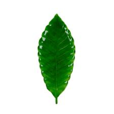 Folha Decorativa cermica Royal Decor 23x10x3cm verde