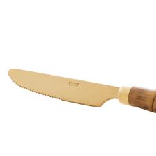 Jogo de facas para sobremesa em inox com cabo plstico Lyor Bambu 20cm dourado 6 peas