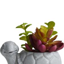 Vaso com suculenta em cimento e plstico L'Hermitage Tartaruga 10x7,5x8,5cm cinza