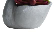 Vaso com suculenta em cimento e plstico L'Hermitage Pato 10x8x8,6cm cinza