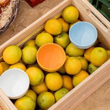 Tigela de Cermica Oxford Salada Tropical Azul Claro 600ml