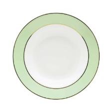 Jogo de Jantar e Chá Oxford Flamingo Classic Verde 30 Peças Porcelana Jogo de Jantar e Chá Oxford Flamingo Classic Verde 30 Peças Porcelana